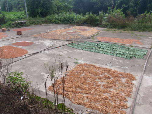 Food/Plant drying.